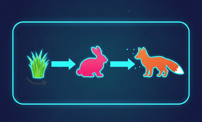 A Mathematical Modeling Framework and Infectious Disease