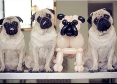 profile picture of sim